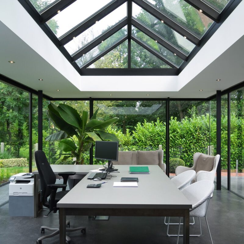 VDB banenenboom in moderne veranda